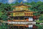 Beverly Jigsaw Puzzle 1000 Pcs Kinkakuji Temple M81-520 From Japan #Xm9