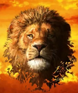 The Lion King (Live Action) - Zavvi Exclusive 3D Steelbook lot H359 - Picture 1 of 4