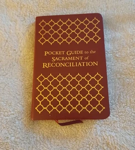 Pocket Guide to the Sacrament of Reconciliation by Josh Johnson, Mike Schmitz - Picture 1 of 2
