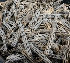 10+ LBS CHOLLA Wood CUTOFFS | Whole Pieces Split Halves Bits | Aquarium, Crafts - Picture 1 of 13