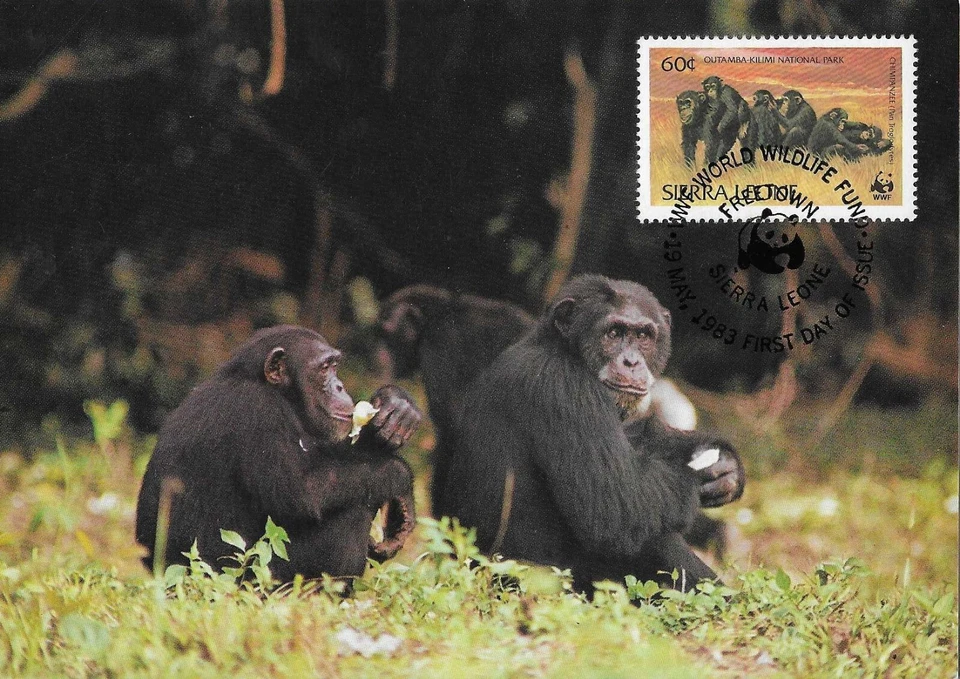 Chimpanzee Monkeys Outamba-Kilimi National Park Sierra Leone FDC Card 1983 - Image 1 of 1