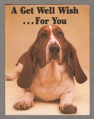 Tarjeta de felicitación Bassett Hound Get Well, Hush Puppy, papel texturizado, perro Foto 1 de 3