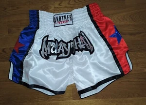 Muay Thai Shorts Hose Thaiboxhose Thaiboxen Shorts Gr. XL (AsiaX XL) - Bild 1 von 3