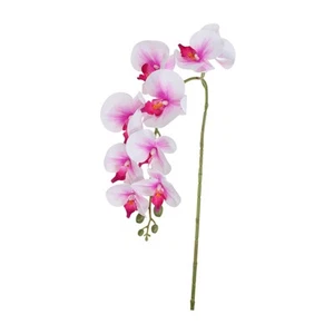 1 Pcs 38 Inch Artificial Orchid Stems Phalaenopsis Flowers White/Purple - Picture 1 of 5