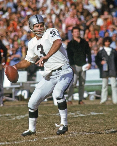 1972 Oakland Raiders DARYLE LAMONICA Glossy 8x10 Photo Print Football Poster Cover
