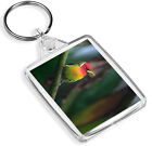 Stunning Red-Headed Barbet Keyring - IP02 - Forest Birds Nature  Gift #16676