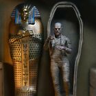 The Mummy Accessory Pack   Universal Monsters