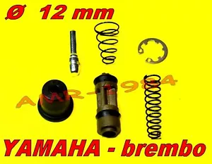 PISTONCINO POMPA FRENO ANTERIORE - POSTERIORE YAMAHA / BREMBO Ø 12 mm 061046 - Foto 1 di 2