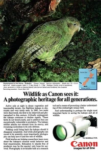 VINTAGE 1986 CANON FD 150-600MM KAMERA OBJEKTIV KAKAPO VOGEL DRUCK ANZEIGE - Bild 1 von 1