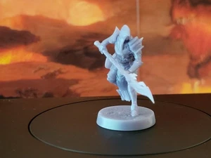 DnD Miniatures: Royal Guard B (Hood) [Size: Medium] (Free Ship 2nd+ Minis!!) - Bild 1 von 1