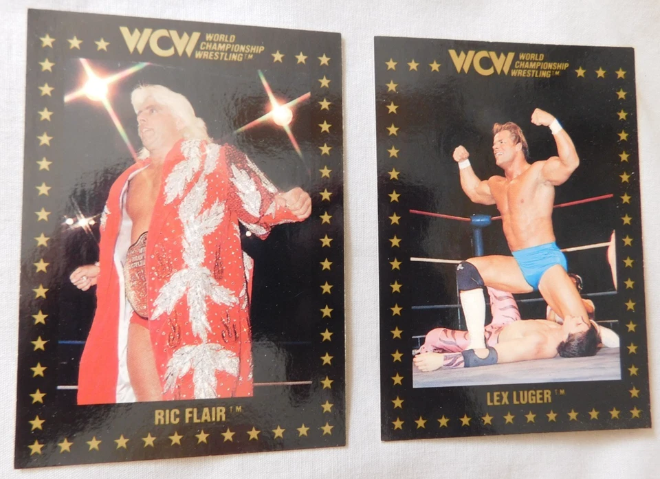 1991 Championship Marketing WCW Wrestling Card #1-110 Pick one - Image 1 of 1