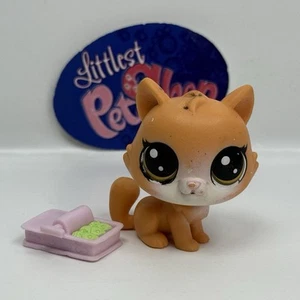 POUNCY SIPTON #78 con accessori - Autentico Littlest Pet Shop - Hasbro LPS - Foto 1 di 4
