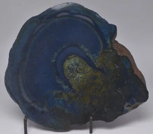 VIVIANITE NODULE, SLICED AND POLISHED, VICTORIA, AUSTRALIA F627 - Bild 1 von 4