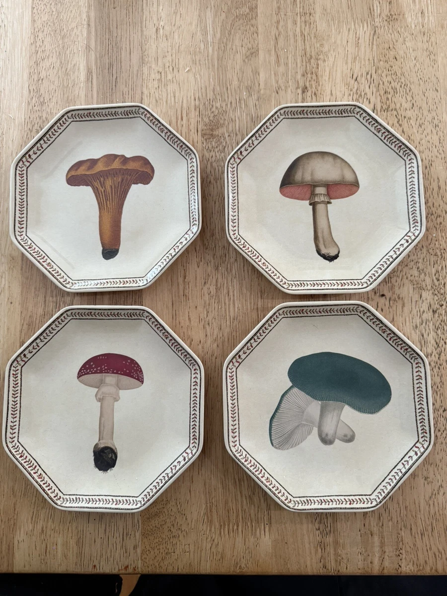 John Derian for Target 4 pc Unique Mushroom Melamine Appetizer
