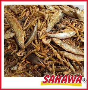 Reptilien- Futter  6 Sorten Mix 10 L Trockenfutter Schildkrötenfutter Reptilien - Bild 1 von 2