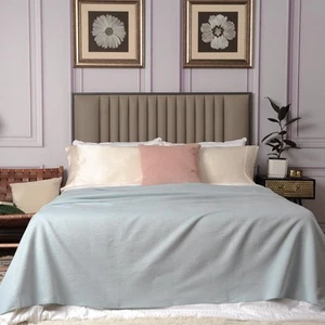 Silk Fleece Blanket for Bed Soft Breathable & Skin-Friendly (Ice Blue King - Picture 1 of 6