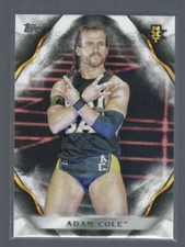 2019 Topps WWE Undisputed Wrestling Base & Portrait Singles (Pick Your Cards)