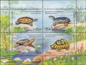Russia 2017 Turtles/Tortoise/Marine/Nature/Wildlife/Conservation 4v m/s (ru1043) - Picture 1 of 1