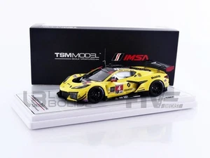 TRUESCALE MINIATURES 1/43 - CHEVROLET CORVETTE Z06 GT3 R - IMSA 24H DAYTONA 2024 - Foto 1 di 5