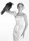 Tippi Hedren - The Birds - Movie Promotional Photo Poster
