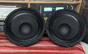 2 vintage Eminence midrange speakers with cloth surrounds and vented magnets - Picture 1 of 3