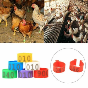 100pcs 16/20mm Chicken Poultry Foot Ring Hen Leg Clip Band Duck Bird Ring Parrot - Picture 1 of 6