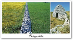 CARTOLINA PANORAMICA RAGUSA PAESAGGIO CAMPAGNA NATURA MURO MURI A SECCO - Bild 1 von 1