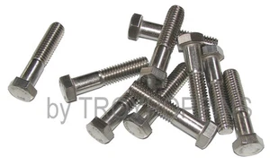 10-SS 3/8"-16 X 1-3/4" HH TESTA ESAGONALE TAPPO BULLONI MACCHINA VITI ACCIAIO INOX 18-8 - Foto 1 di 1