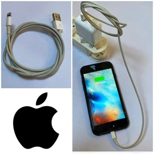 Câble Original Apple USB Lightning - pour iPhone - Authentique Apple - Photo 1/6