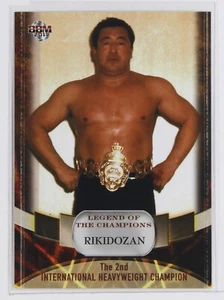 RIKIDOZAN - 2011 BBM Pro-Wrestling Trading Card - Picture 1 of 3