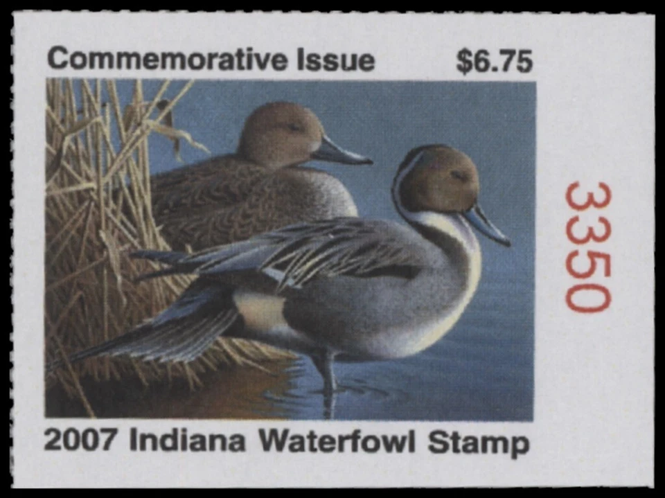 2007  Indiana State Duck Stamp. Mint Never Hinged. Original Gum   - Image 1 of 1