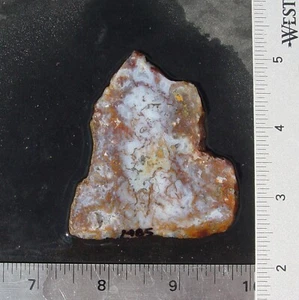 Gold Moosachat Lapidarplatte 1485 - Bild 1 von 11