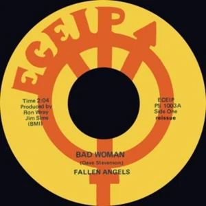 45Re✦FALLEN ANGELS "Bad Woman"✦RIC GARY "Pimples And Braces"✦Monster PunkRock ♫ - Imagen 1 de 1