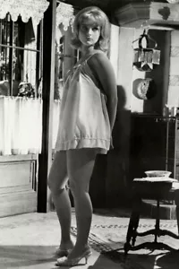 American Actress CAROL LYNLEY Publicity Picture Poster Photo Print 4x6 - Picture 1 of 1