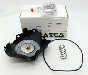 ASCO C107668 Valve Rebuild Kit - Picture 1 of 3