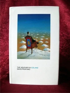 THE WEATHER IN ICELAND; David Profumo; 1st Edition [1993]; VG - Imagen 1 de 3