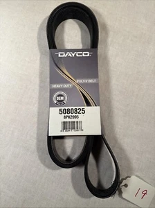 Serpentine Belt-DIESEL Dayco 5080825 - Picture 1 of 6