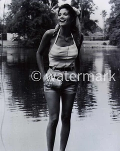 Barbi Benton  Actress, Model  8X10 Photo Reprint - Picture 1 of 1