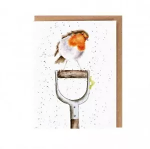 Wrendale Designs 'The Gardener's Friend' Rotkehlchenkarte, mit wilden Samen. Any Occas - Bild 1 von 1