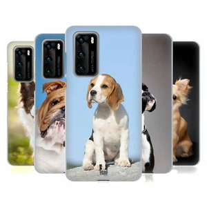 HEAD CASE DESIGNS POPULAR DOG BREEDS SOFT GEL CASE & WALLPAPER FOR HUAWEI PHONES - Picture 1 of 12