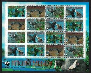 Antigua and Barbuda Birds WWF Caribbean Coot Sheetlet of 4 sets 2009 MNH - Picture 1 of 1
