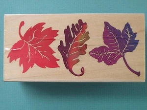 Autumn Leaves Border ALL NIGHT MEDIA Rubber Stamp - Picture 1 of 2