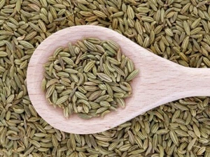 500g Fenchel Fenchelsamen ganz Gewürz Tee 0,5kg - Bild 1 von 2