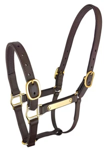 Zilco Epsom PN Deluxe Halter - Picture 1 of 2