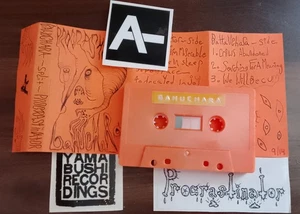 Procrastinator Bahuchara Split Tape lo fi punk noise rock raw black metal - Picture 1 of 2