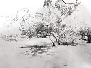 Small Tree Landscape Plein Air Gothic Realism Pencil Drawing 8x6 Paper Original - Picture 1 of 1