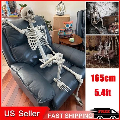 5ft Giant Halloween Human Skeleton Poseable Full Life Size Decoration Party Prop
