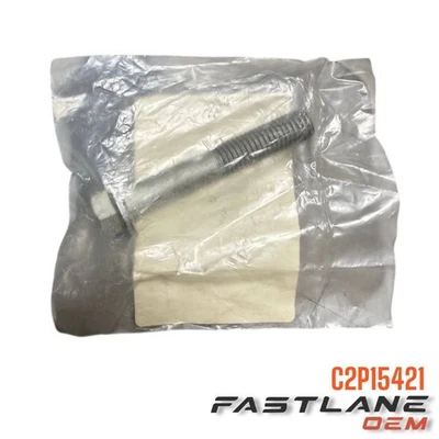 Jaguar F-Type/XKR/XKR-S 2008-2024 estabilizador perno de enlace nuevo OEM C2P15421 Foto 1 de 4