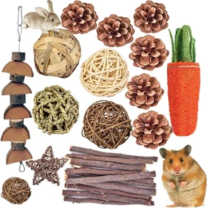 Criceti Giocattoli da Masticare,24 Pezzi Combinati Giocattoli da Masticare Bastoncini Molari Dolce Bambù Branco di Mela - Foto 1 di 6