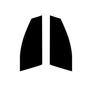 Pre Cut Car Window Tint for Hyundai Ioniq 2017+ Front Windows Car Tinting Film - Picture 1 of 10